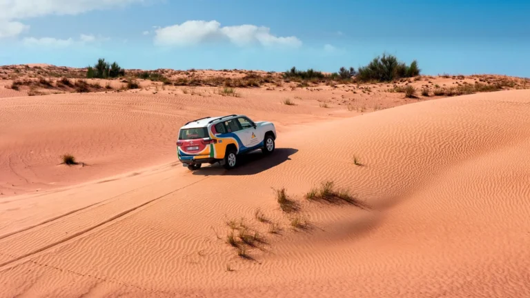vip desert safari dubai